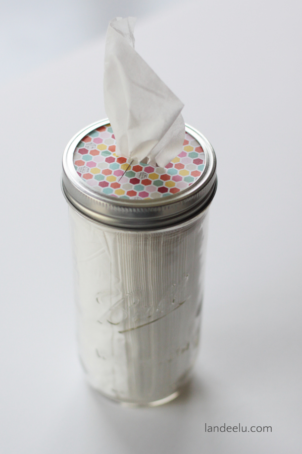 DIY-Mason-Jar-Tissue-Holder.jpg